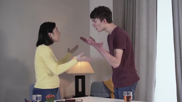 Side View of Adult Caucasian Woman and Teenage Boy Arguing and Gesturing Emotionally Indoors. Son alt