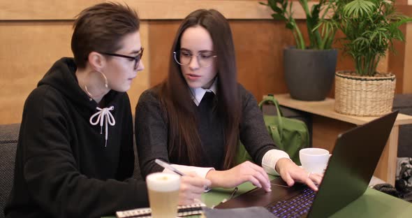 Young Female Students Working on Laptop alt