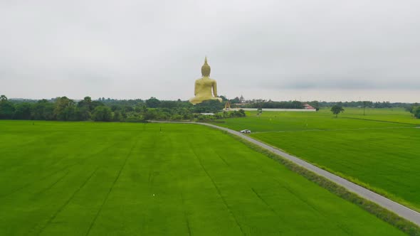Aerial view of the Giant Golden Buddha in Wat Muang in Ang Thong district with paddy rice field alt