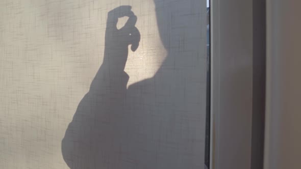 Close-up of Entrance Door with Male Silhouette Knocking, Female Caucasian Hand Opening Curtain alt