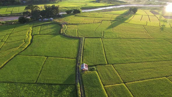 Aerial view of rice terraces field in northern of Thailand by drone