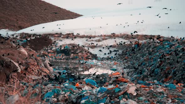 City Waste Dump Station alt