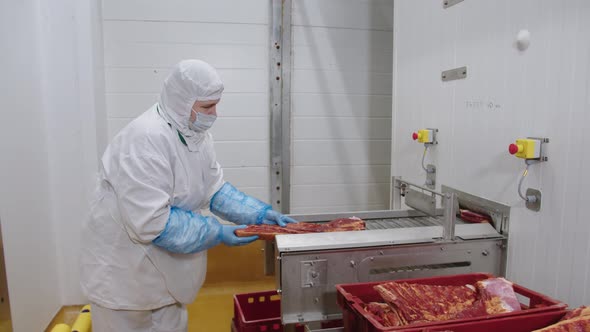 Worker in Protective Uniform Stacks Pieces of Bacon on Line in Preparation for Shipment to