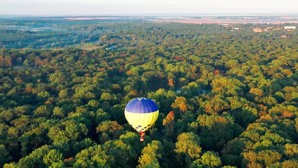 Multicolored balloons fly over trees. Nice top view of the park, forest covered with greenery.