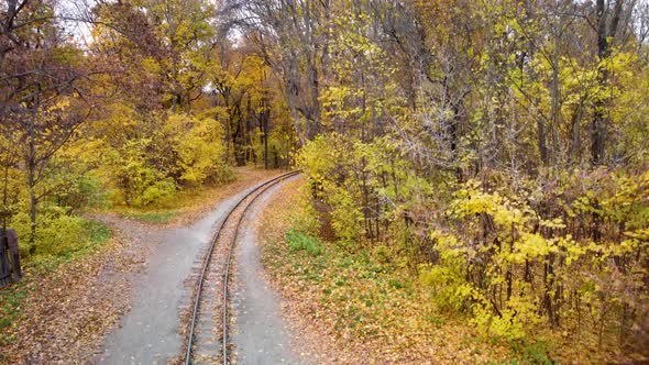 Aerial railway line in vivid yellow autumn forest