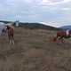 A Herd Of Horses Shot With A Drone In The Wild 10 - VideoHive Item for Sale
