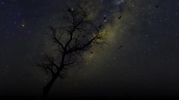 Silhouette Of Birds And Lone Tree With Milky Way