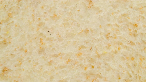 Macro shot of Whole wheat bread slice rotation, Close up