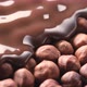 Pouring hot melted chocolate and nuts - VideoHive Item for Sale