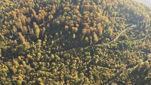 Aerial Top View Over Autumn Forest Graz City