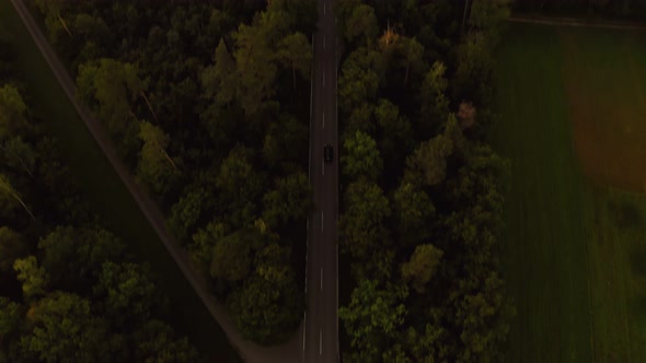 Rising up shot of a drone over a street in a forest, while a car is passing by and following the cam alt