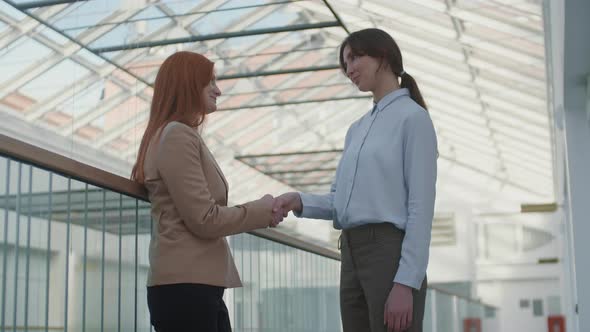 Two Businesswomen Shaking Hands alt