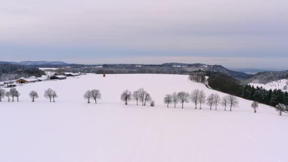 Wide winter scene - smooth forward flight over a snow white field and a row of trees alt