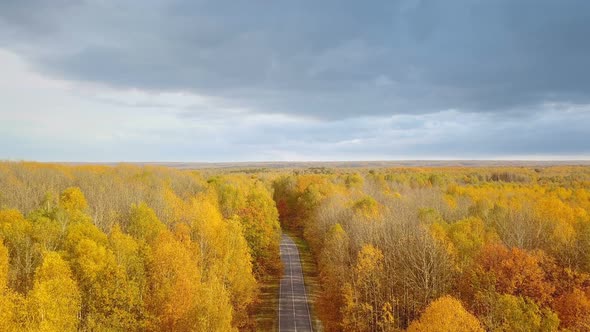 Nature Autumn Road