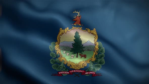 Vermont State Flag Front