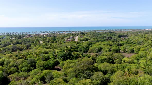 Aerial View of Tropical Ocean and Palm Trees Forest During Sunny Day. Praia Do Forte alt