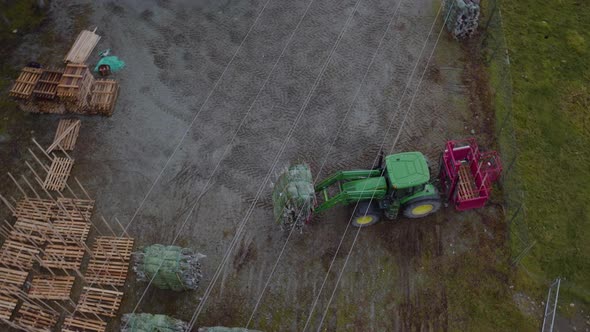 Harvested and wrapped spruce trees moved by tractor on farm; aerial alt