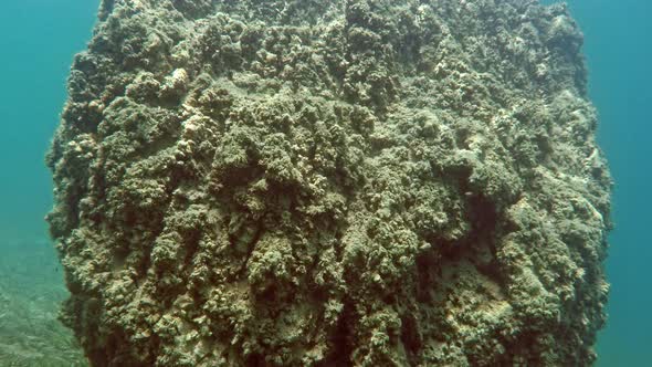 Giant rock at the bottom of Lake Ohrid in Macedonia, Southern Europe. alt