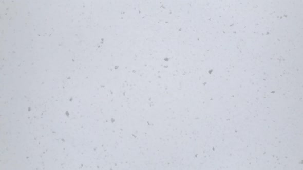 White Snow Falling, Snowfall Seamless alt