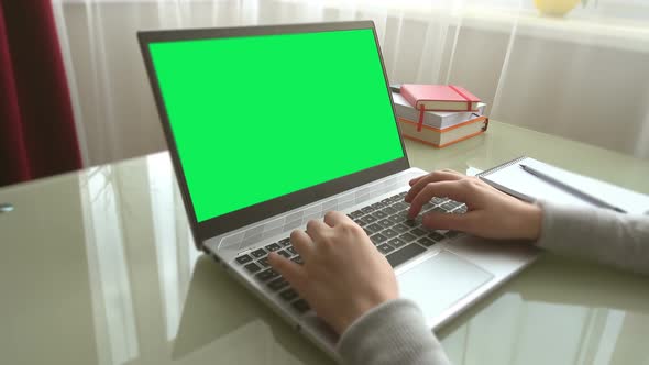 The girl working at home office hands on keyboard alt