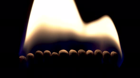 Twelve Matches Light Up And Burn On A Black Background