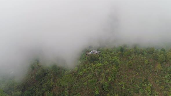 Farmlands and Village Bali, Indonesia alt