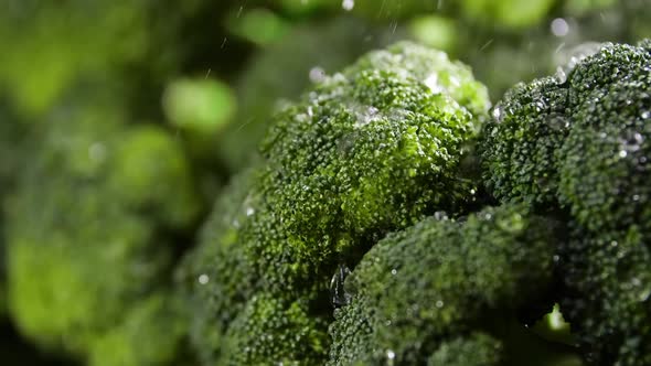Broccoli With Drops of Water,Beautiful Macro Video, Raw Organic Food Vegetables, Organic Harvest alt