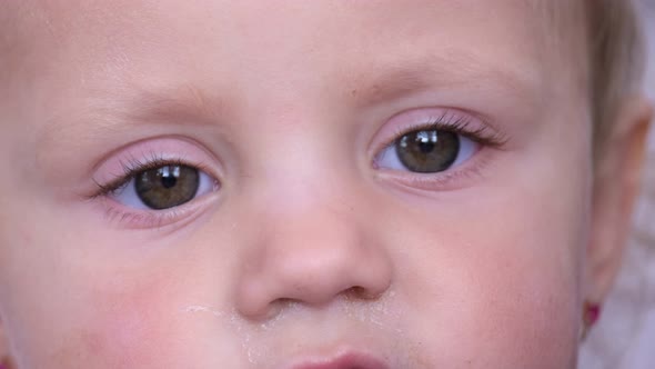Close Up Portrait of a Cute Little Girl with Big Eyes alt