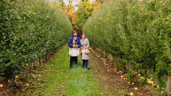 Aerial View Young Family of Four Stay in Apple Garden