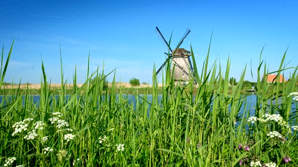 Windmill at Kinderdijk in Holland. Netherlands alt