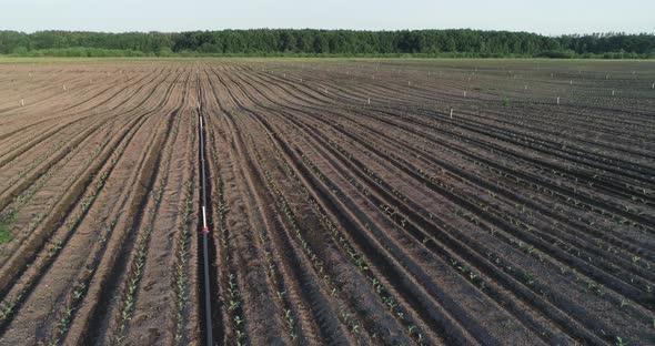 Installation For Watering The Field alt