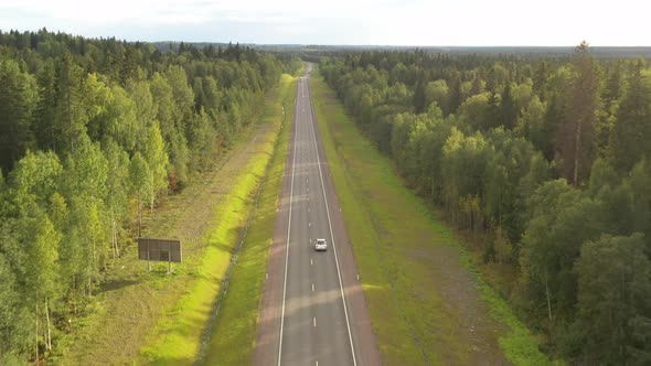 A gray car drives along a long, straight road along a green forest