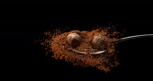 Nutmeg, myristica fragans, Nut falling on Powder against Black Background, Slow Motion 4K alt