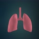 Lungs - VideoHive Item for Sale