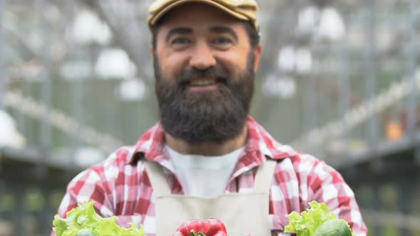 Joyful Farmer Showing Box With Fresh Organic Vegetables, Healthy Nutrition, Food