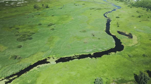 Rural landscape. Green forests and fields. River flows. Aerial photography. alt