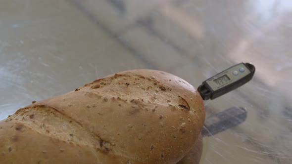 A Culinary Thermometer is Stuck in Freshly Baked Bread That Lies on a Metal Surface alt