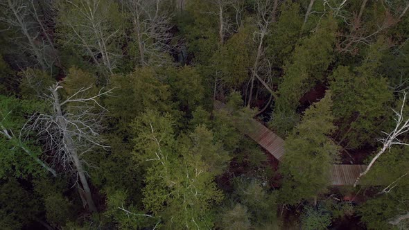 Bruce Peninsula Outdoors alt