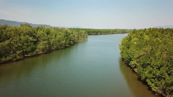 Flying Over River in Mangrove Forest in Thailand alt