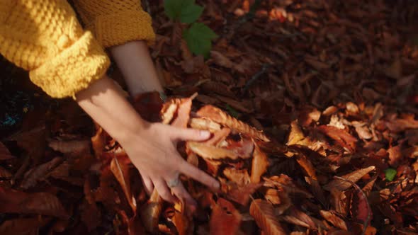 Closeup of Woman's Hands Picking on the Armful of Fallen Leaves From the Ground and Throwing It