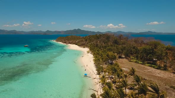 Beautiful Tropical Island alt