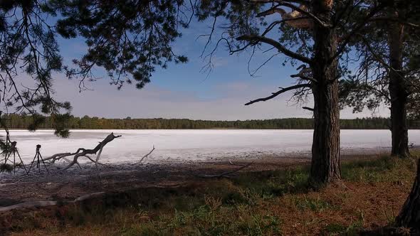 Dried Salt Lake Surrounded By Pine Forest. alt