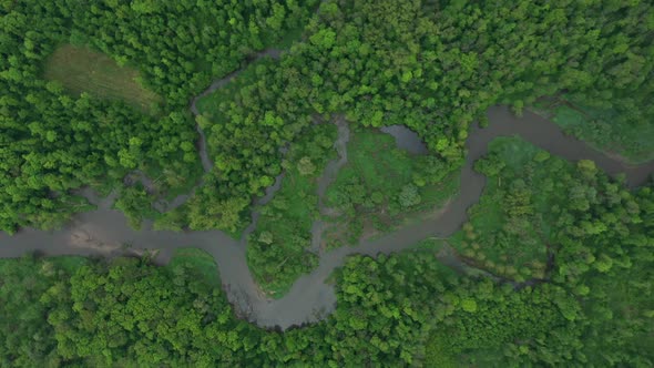 Meanders River Delta River Dron Aerial Video Shot Inland in Floodplain Forest and Lowlands Wetland