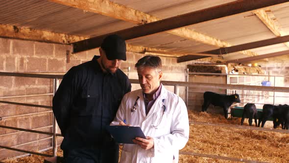 Cattle farmer and veterinary physician interacting with each other while using digital tablet alt
