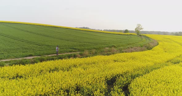 Farmer Using Digital Tablet on Rapeseed Field alt