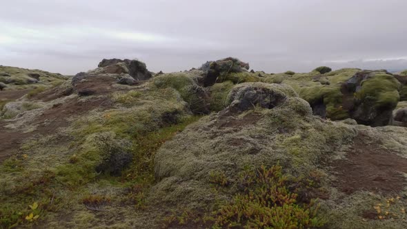 Moss Covered Lava Fields Under White Sky