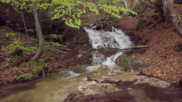 Clear Water of Mountain Stream Flow in Spring Wilderness Forest alt