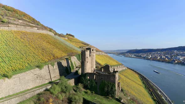 Ehrenfels Castle on Rhine river, Hesse, Germany alt