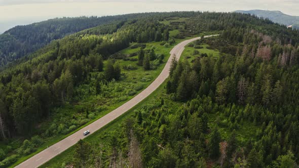 A Green Hilly Valley Overgrown with a Dense Spruce Forest alt