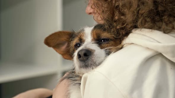 Teenage Girl Holds in Her Arms and Strokes Her Beloved Funny Dog alt